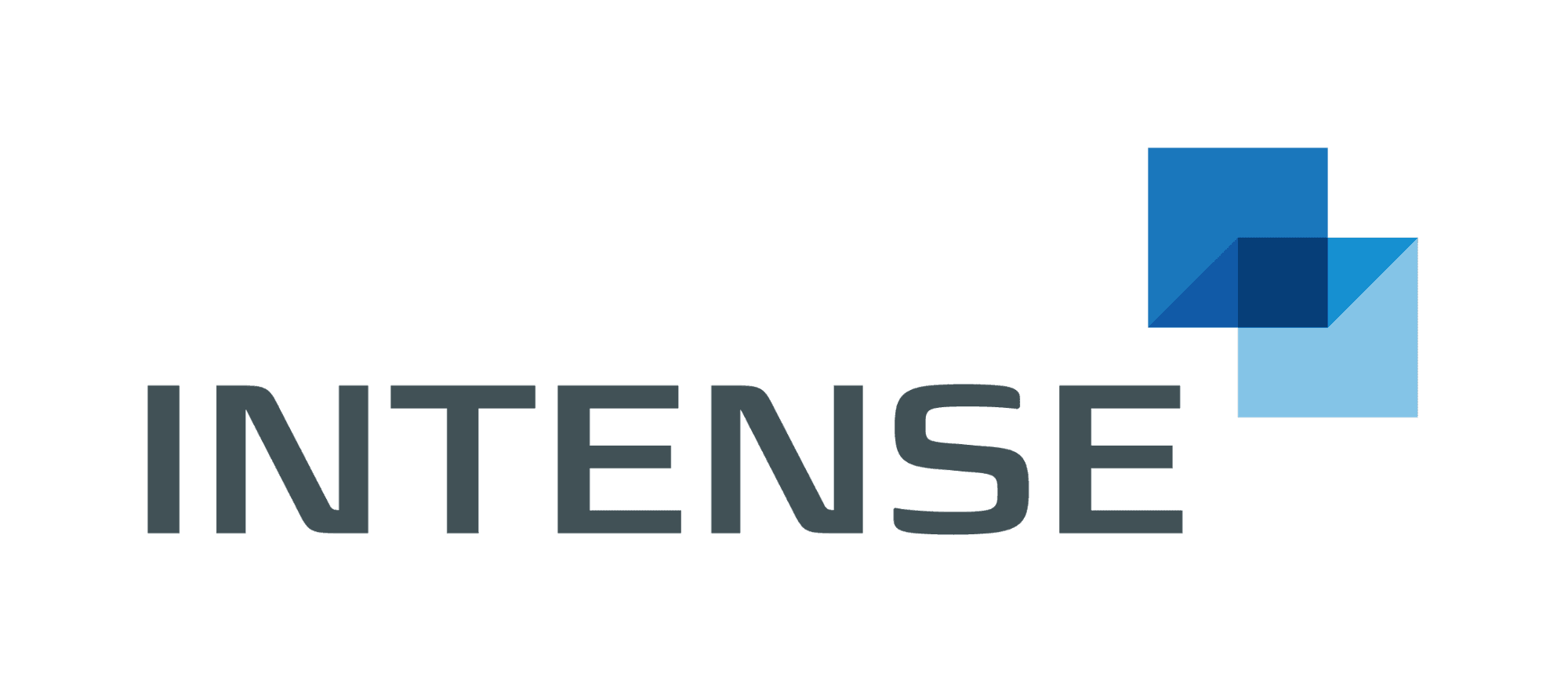 INTENSE AG Logo